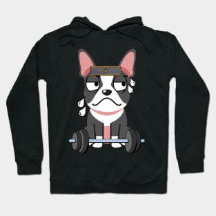 Funny french bulldog is exercising Hoodie